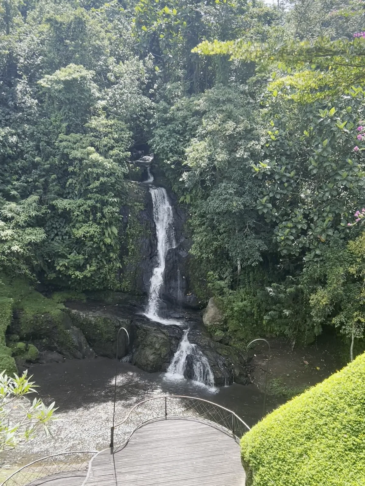 A Balinese waterfall in the heart of the vegetation